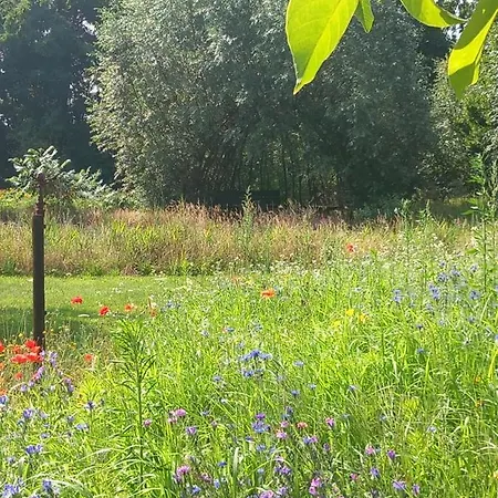 Appartement Oppe Hook *