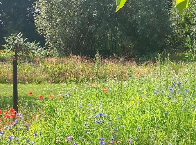 Lägenhet Oppe Hook *